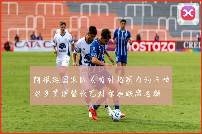 阿根廷国家队或将补招塞内西卡帕尔多贾伊替代巴列尔迪缺席名额