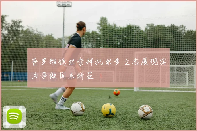 普罗维德尔崇拜托尔多立志展现实力争做国米新星